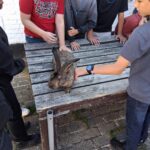 Visite de la ferme de la Hulotte